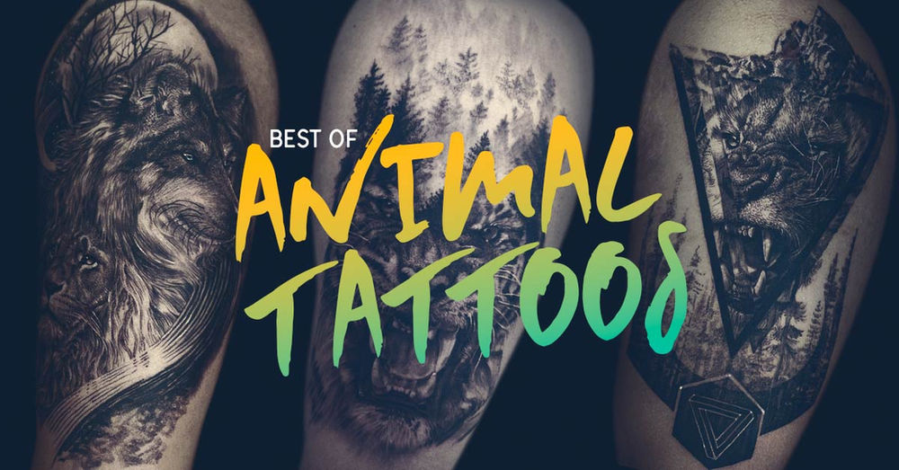 Popular Animal Tattoos Name and Their Meanings