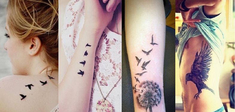 Best Bird Tattoo Ideas That You Can Try In 2023