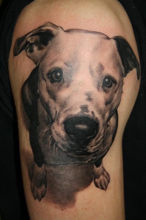 Dog Tattoo Designs 3