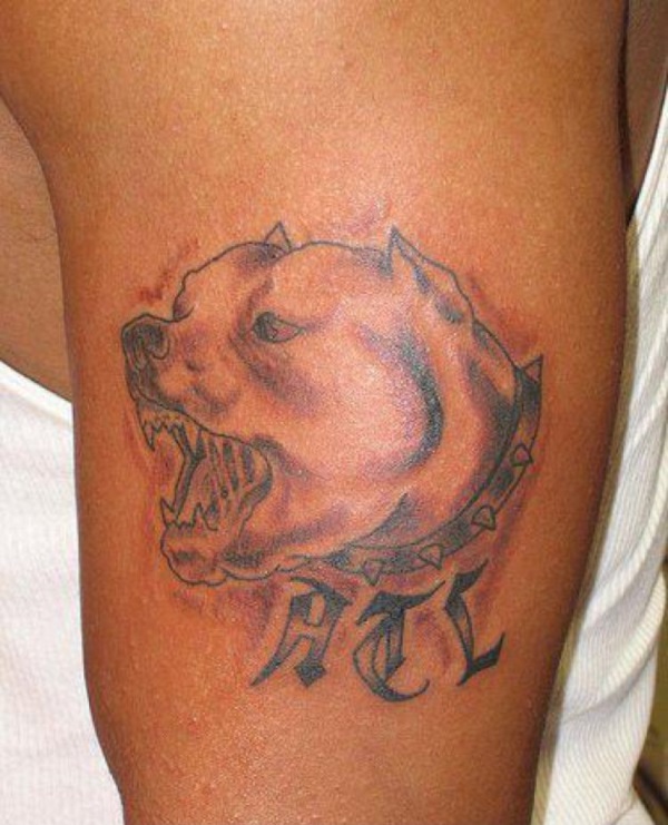 Dog Tattoo Designs 41