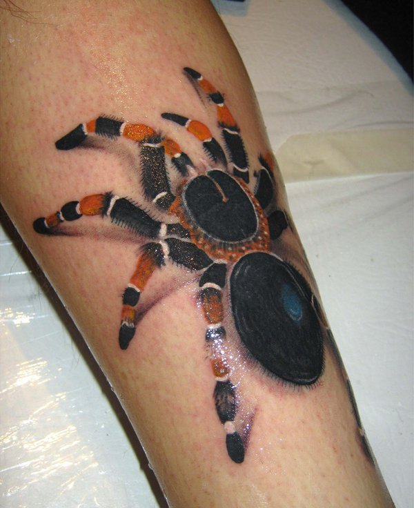 Awesome Spider Tattoo Designs 17