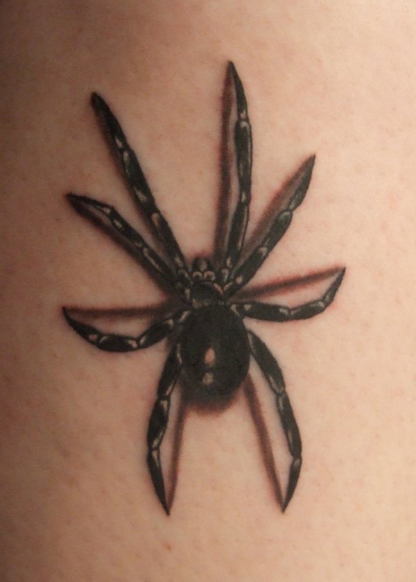 Awesome Spider Tattoo Designs 8