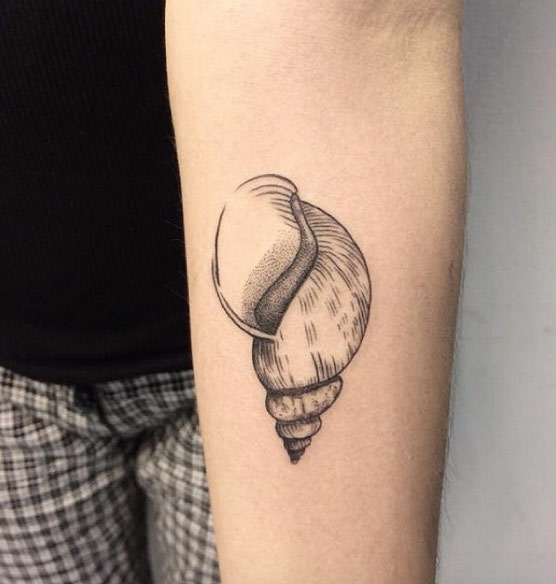 Beautiful Seashell Tattoos Designs For Men and Women