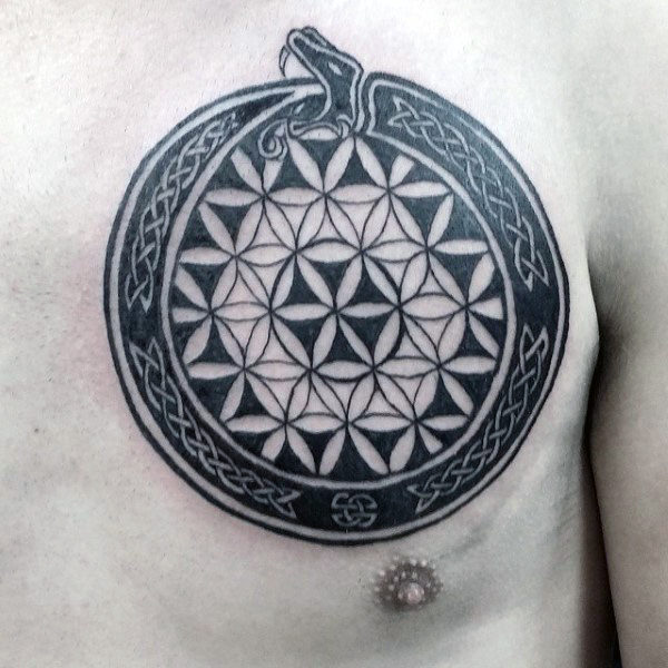 Beautiful Ouroboros Tattoos Designs and Ideas