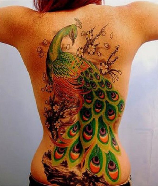 Outstanding Peacock Tattoos Designs and Ideas