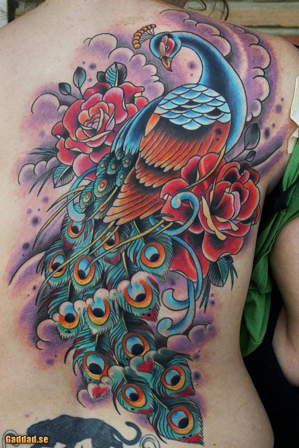 Outstanding Peacock Tattoos Designs and Ideas
