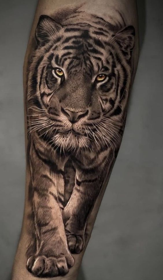 59 Tiger Face Tattoos Designs  Ideas