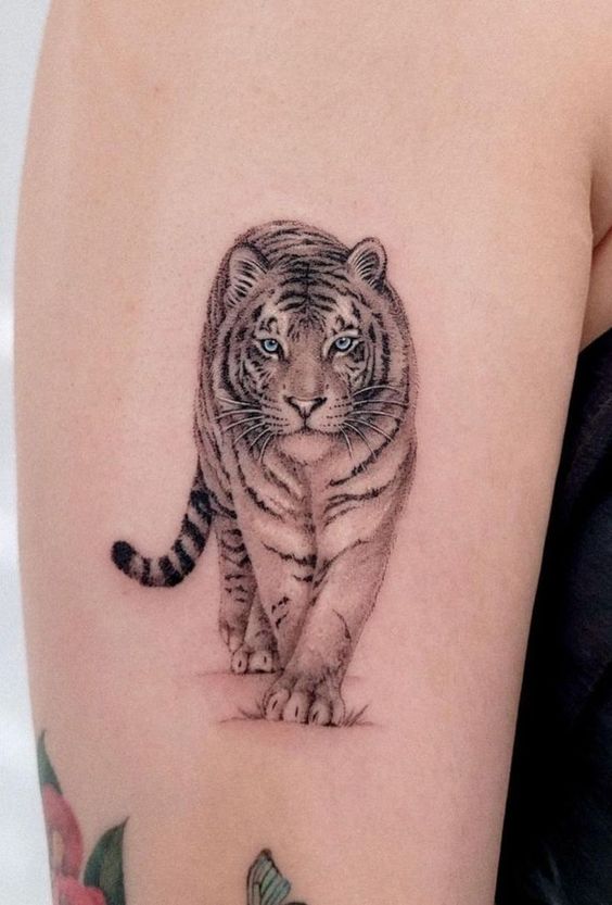 Tiger Tattoo on Arm