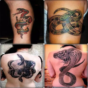 Snake Tattoo Design
