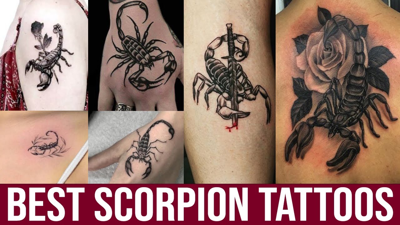 Scorpions Tattoo Ideas For You